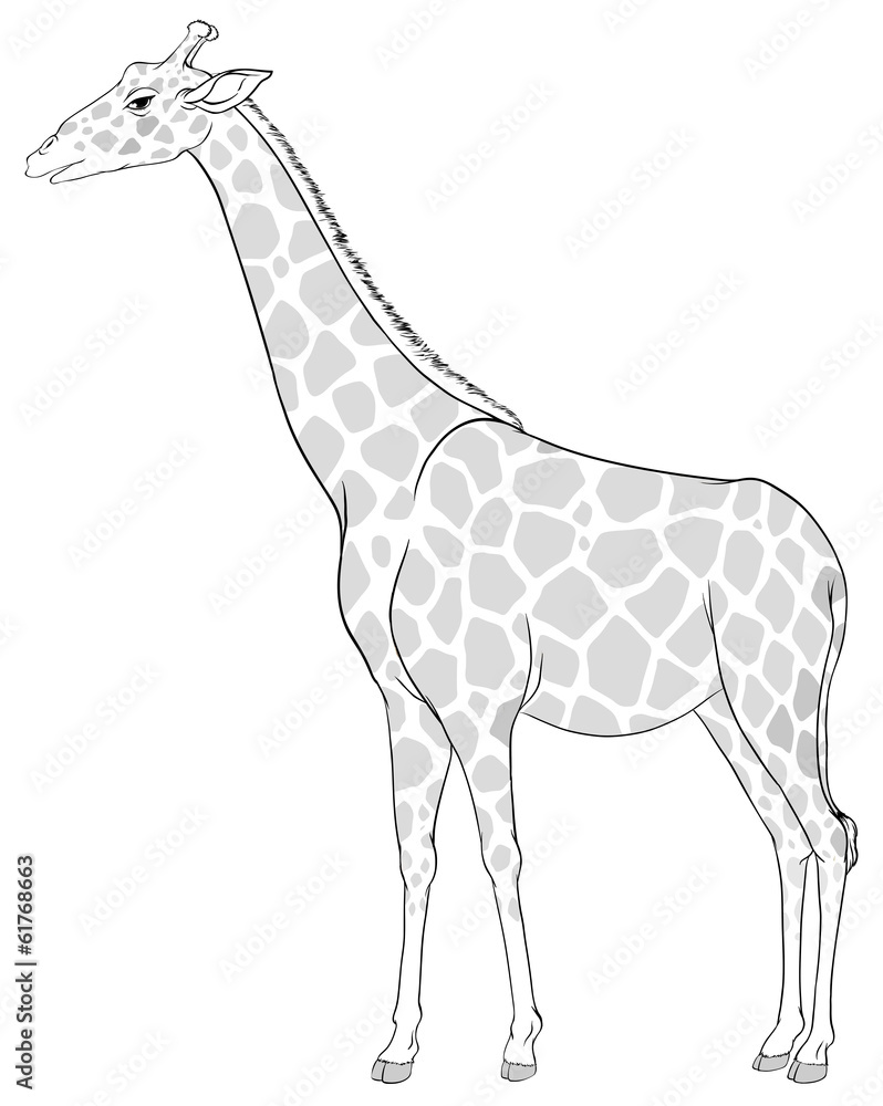 Obraz premium A sketch of a giraffe