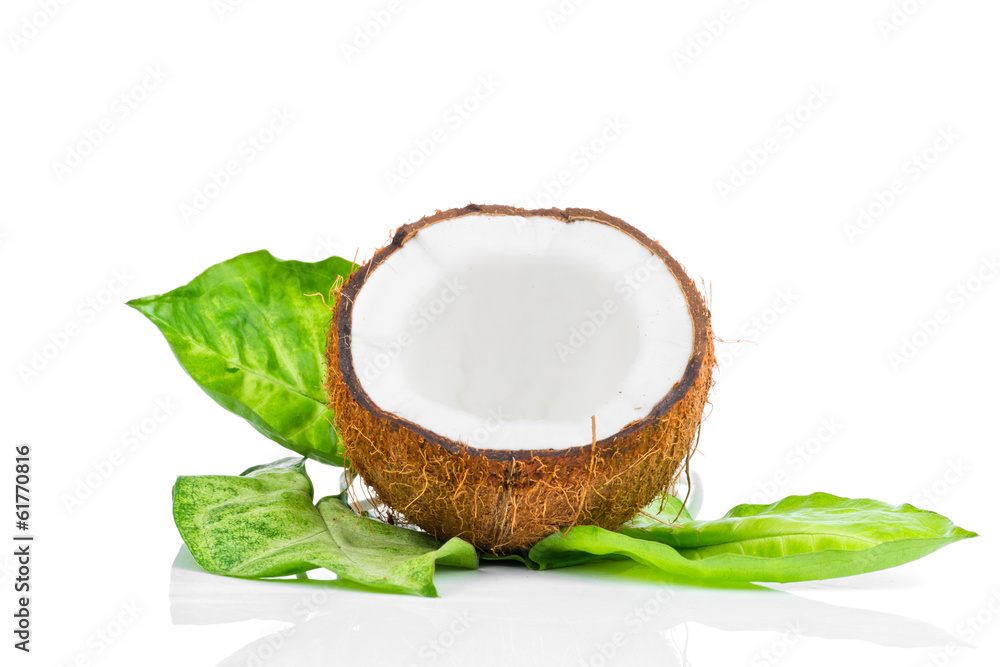 Coconut with green leaf Coconut with green leaf