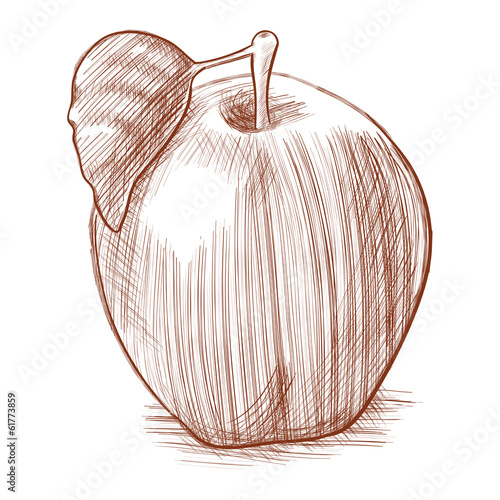apple sketch