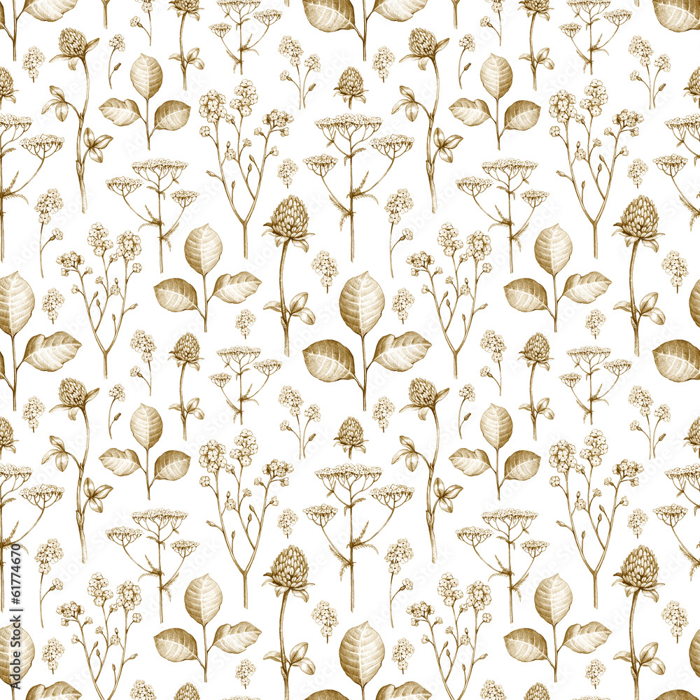 Wild flower drawings. Seamless pattern Wild flower drawings. Seamless pattern
