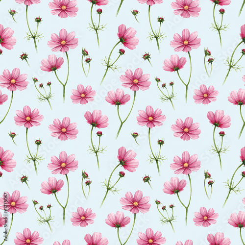 Canvas Print Cosmos flowers illustration. Watercolor seamless pattern