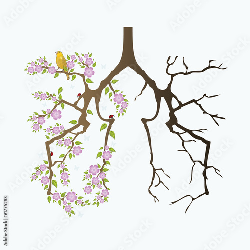 Abstract lungs before and after smoking