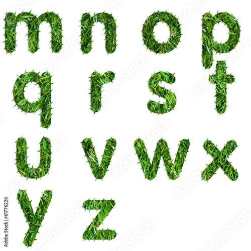 Letters made of green grass isolated