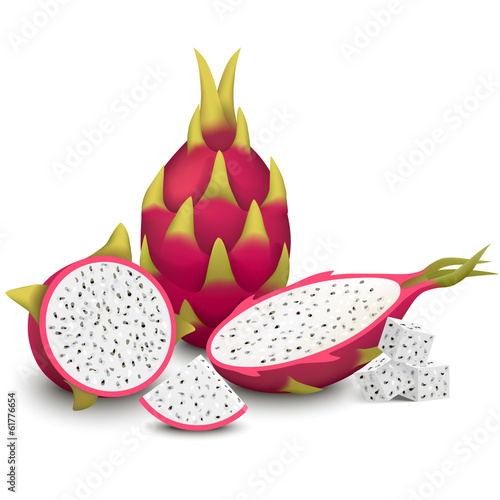 Dragon Fruit vector illustration