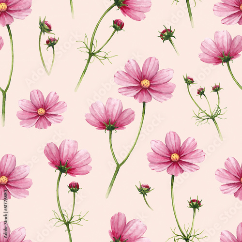 Cosmos flowers illustration. Watercolor seamless pattern