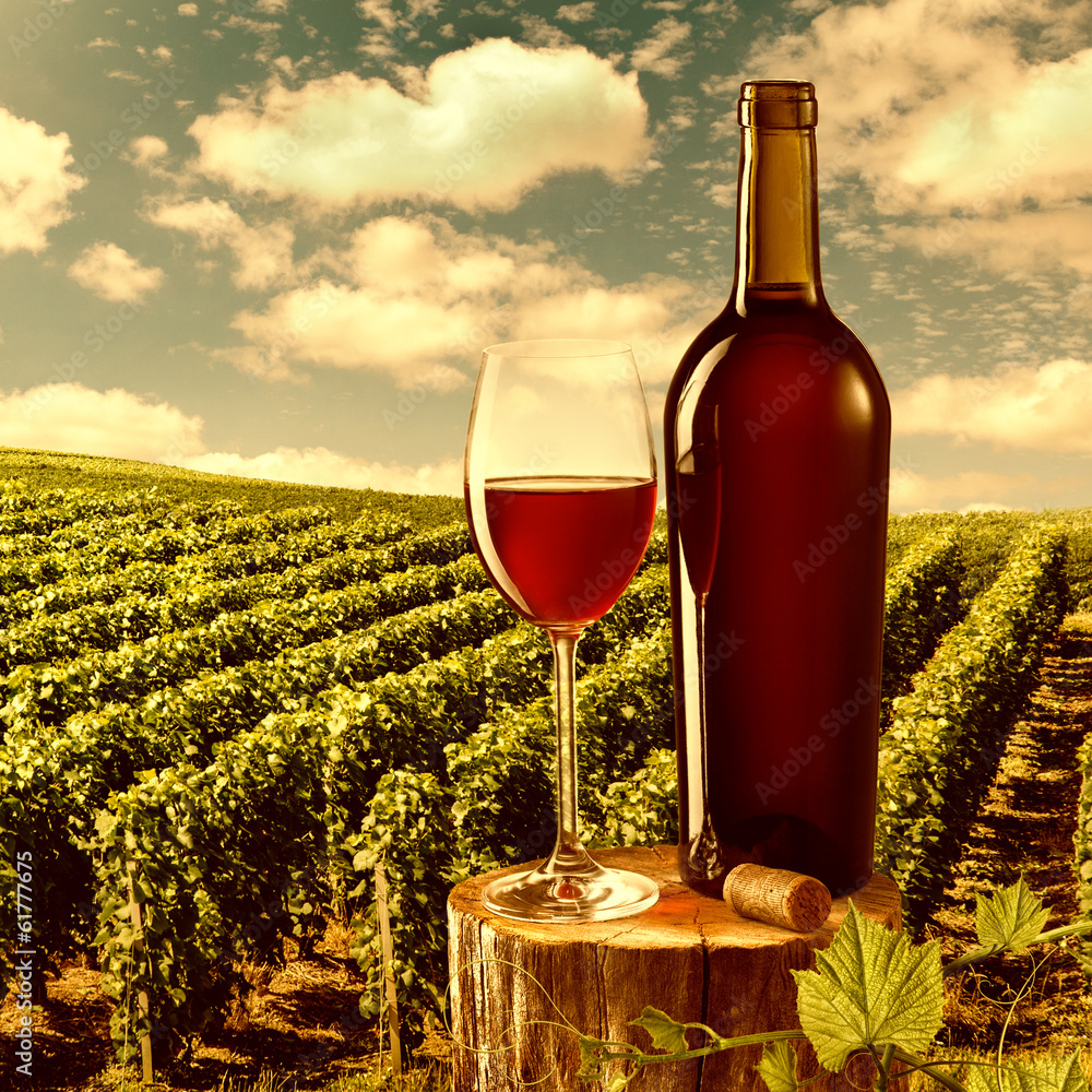 Glass and bottle of red wine against vineyard landscape