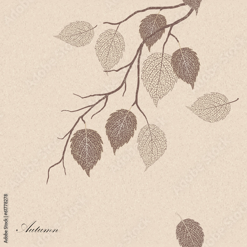 green and yellow autumn leaves