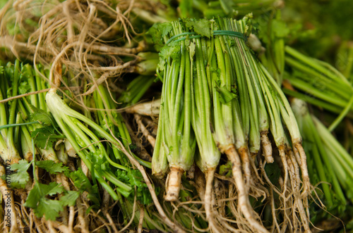 celery roots