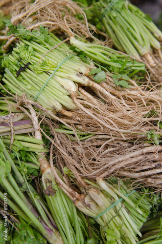 celery roots