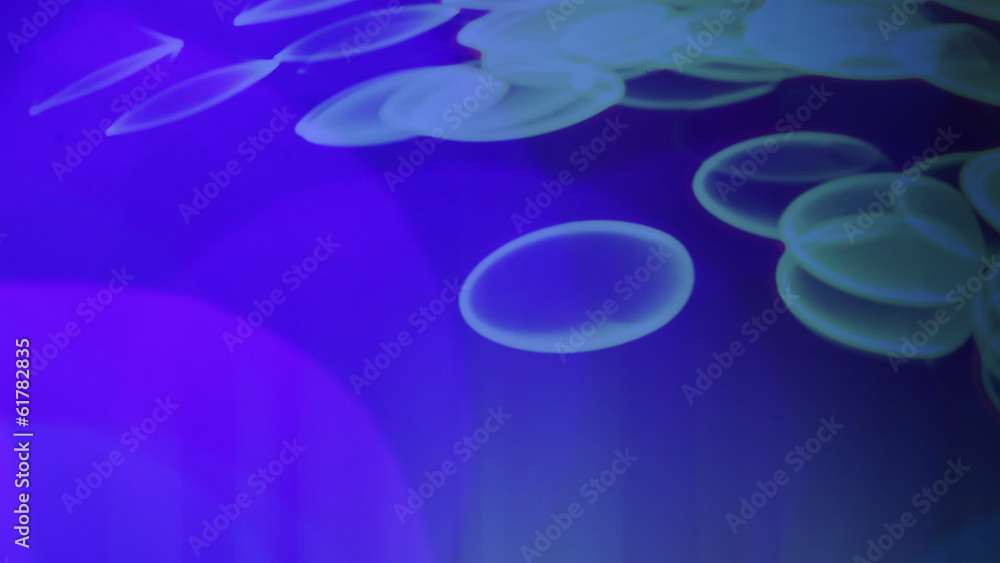 Abstract lights out of focus Abstract lights out of focus