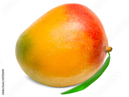 Mango fruit