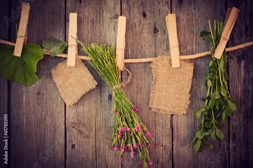 medicine herbs and paper attach to rope with clothes pins on woo