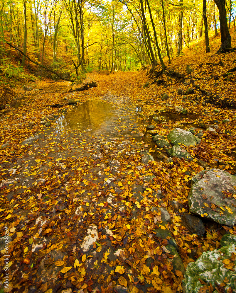Fototapeta premium Nice autumnal scene