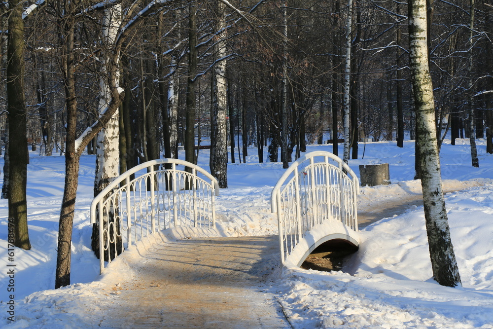 Мост в парке Лианозово