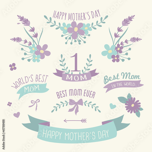 Fototapeta Naklejka Na Ścianę i Meble -  Floral Design Elements Collection