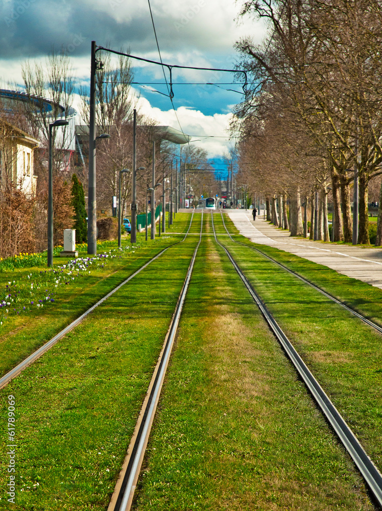 Fototapeta premium Tram rails on a green lawn