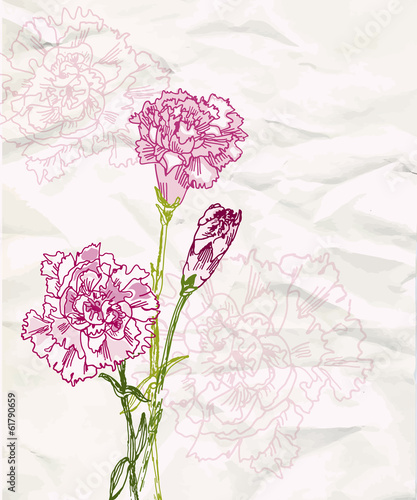 Sketch carnation flower