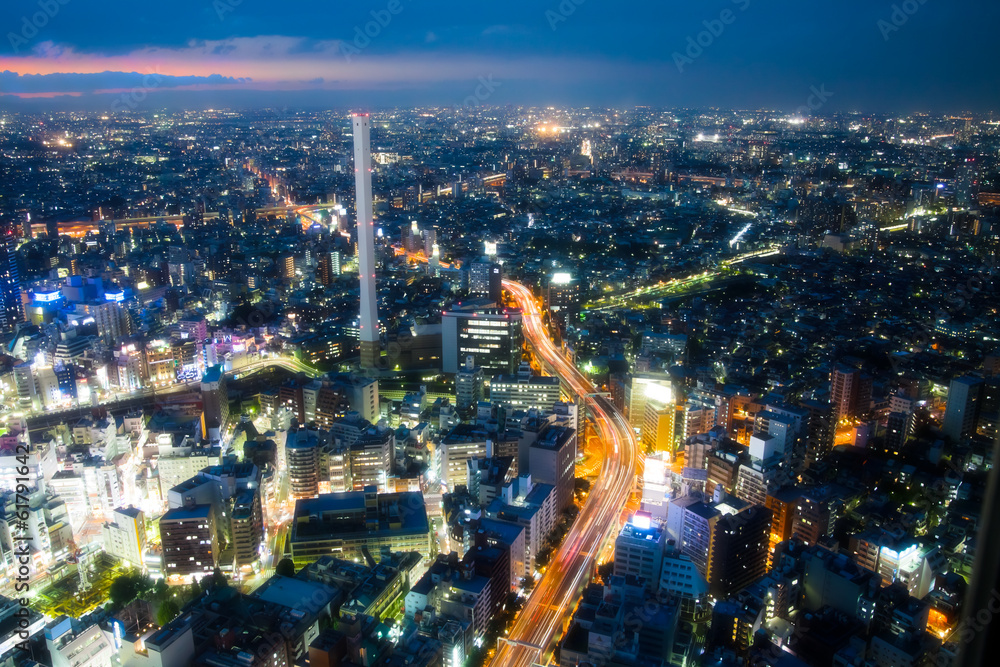 Fototapeta premium 東京の夜景