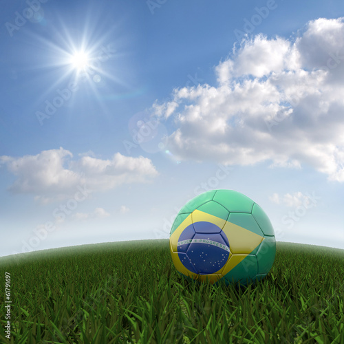 Brasilian soccer on field