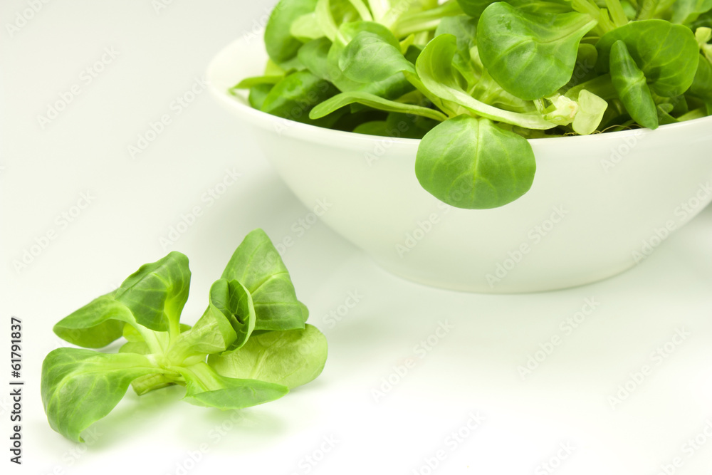 green salad green salad