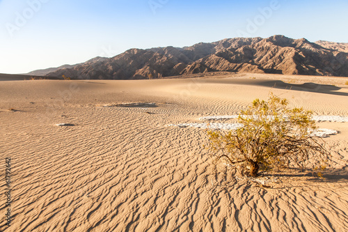 Death Valley Desert