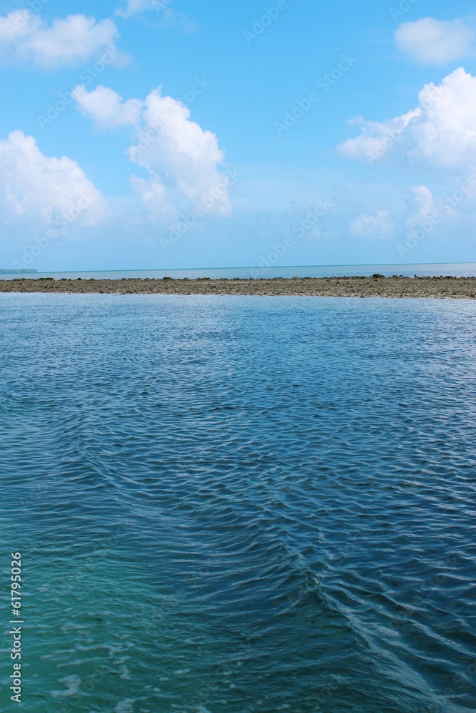 海　島　パラオ