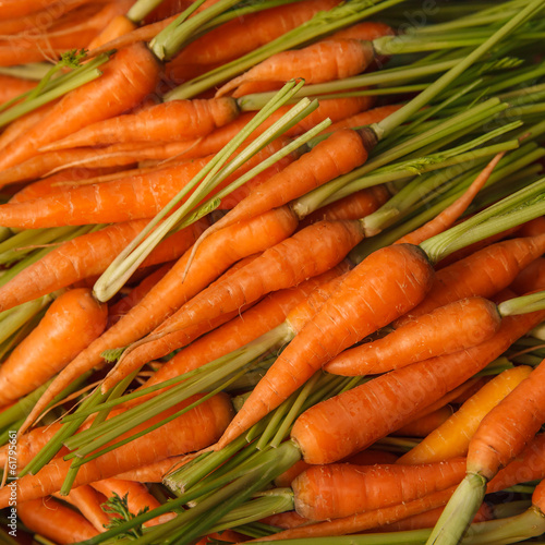 Fresh and colorful carrots