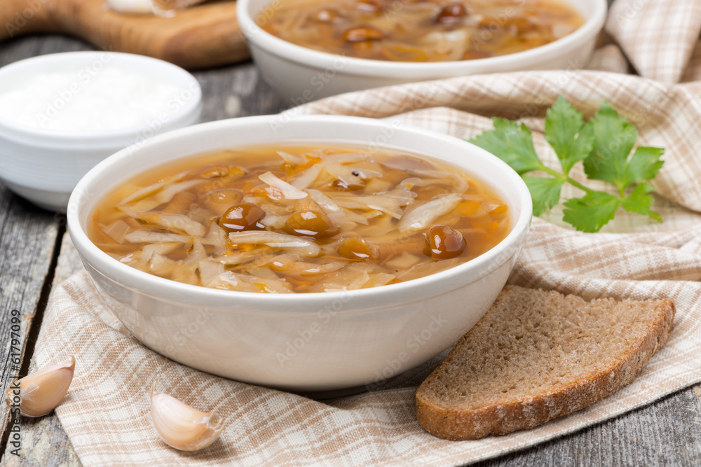 traditional Russian cabbage soup (shchi) with mushrooms traditional Russian cabbage soup (shchi) with mushrooms