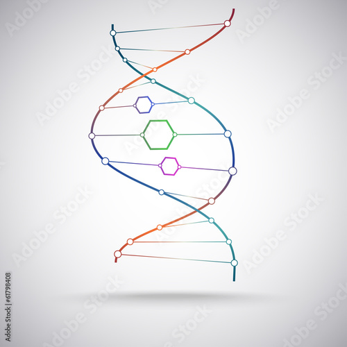 the DNA molecule color