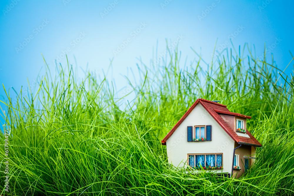 House on the green grass