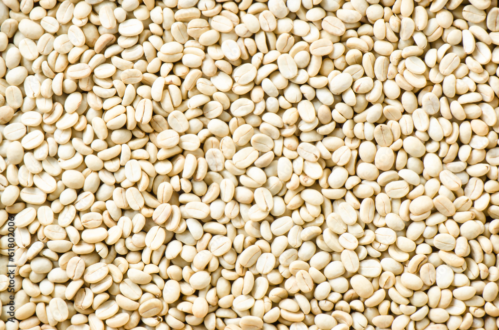 Fototapeta premium Arabica coffee background