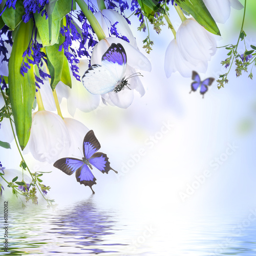 Fototapeta Naklejka Na Ścianę i Meble -  White tulips with blue grass and  butterfly. Floral background.