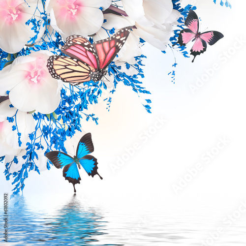 Fototapeta Naklejka Na Ścianę i Meble -  White tulips with blue grass and  butterfly. Floral background.
