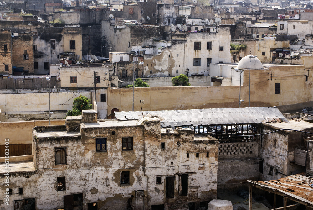 View of Fez medina (Old town of Fes), Morocco