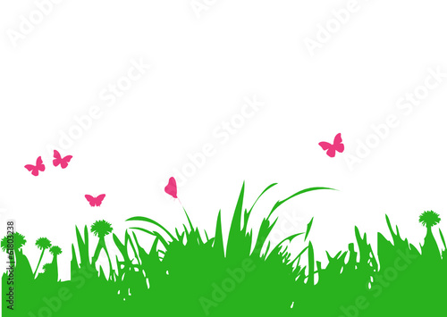 Wiese