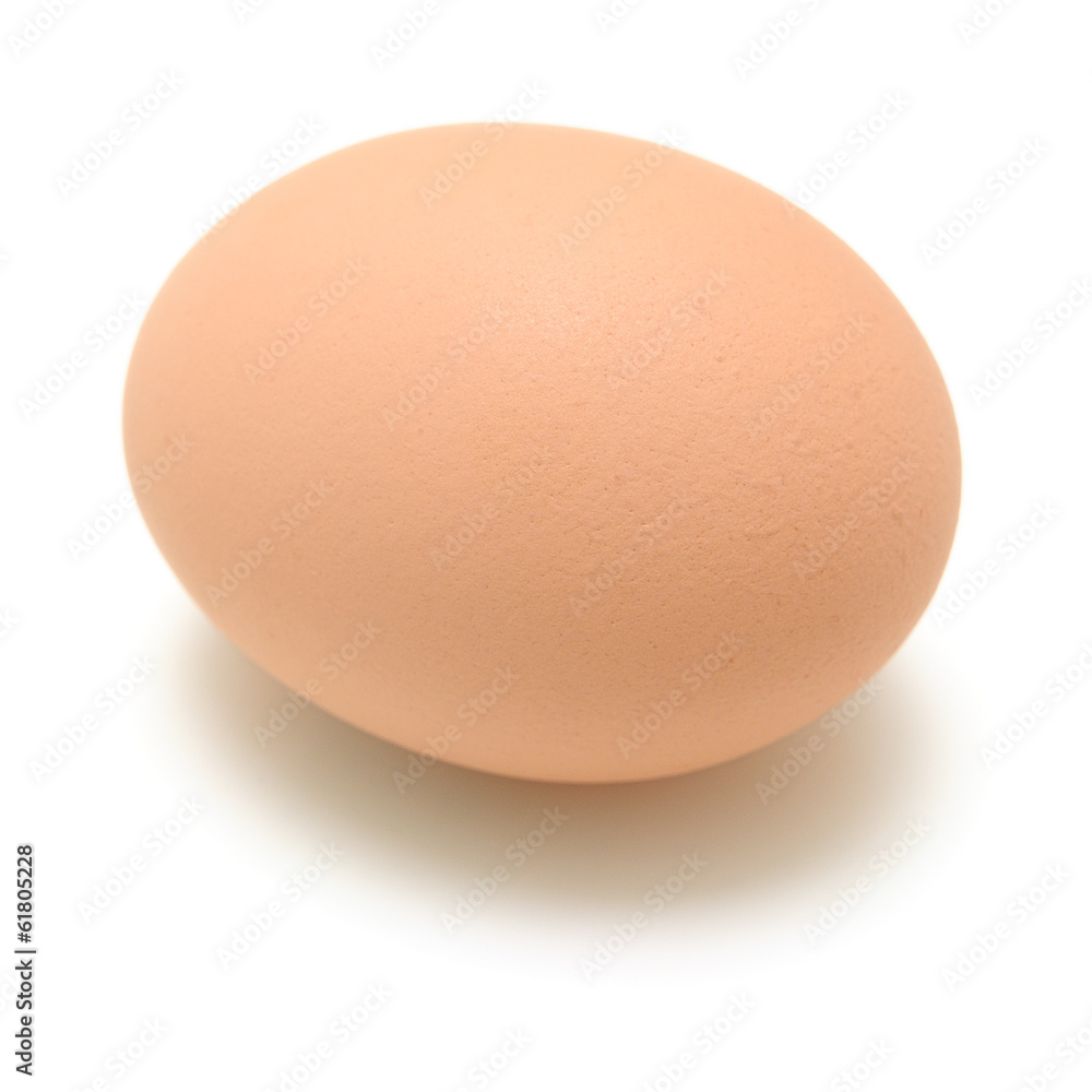 Chicken Egg Chicken Egg
