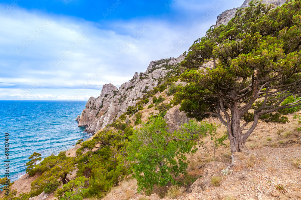 Mountain landscape. Ukraine. Crimea. Mountain landscape. Ukraine. Crimea.