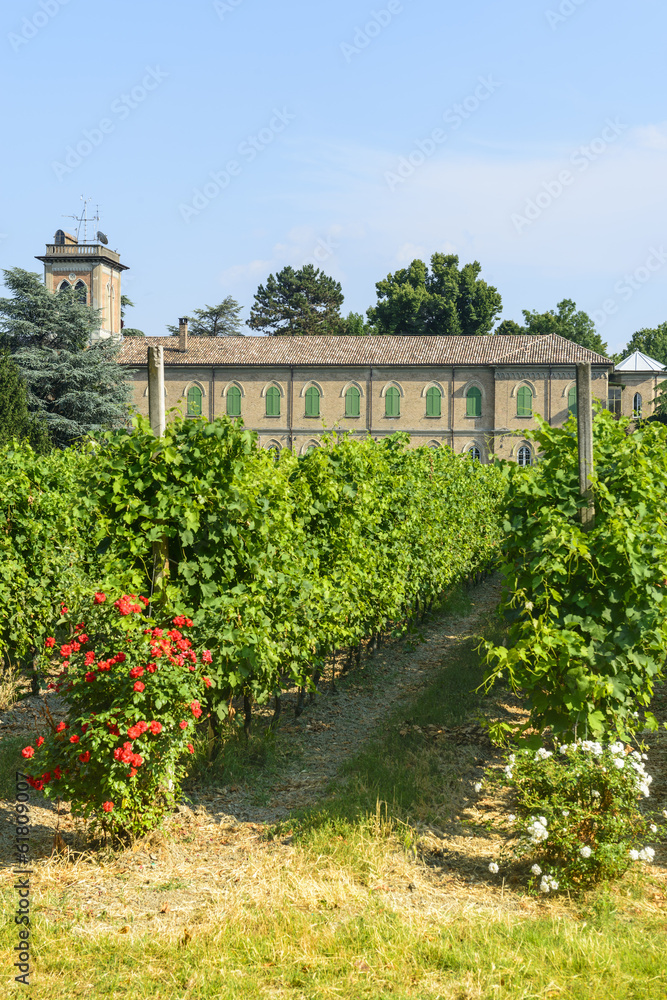 Voghera, school vith vineyard
