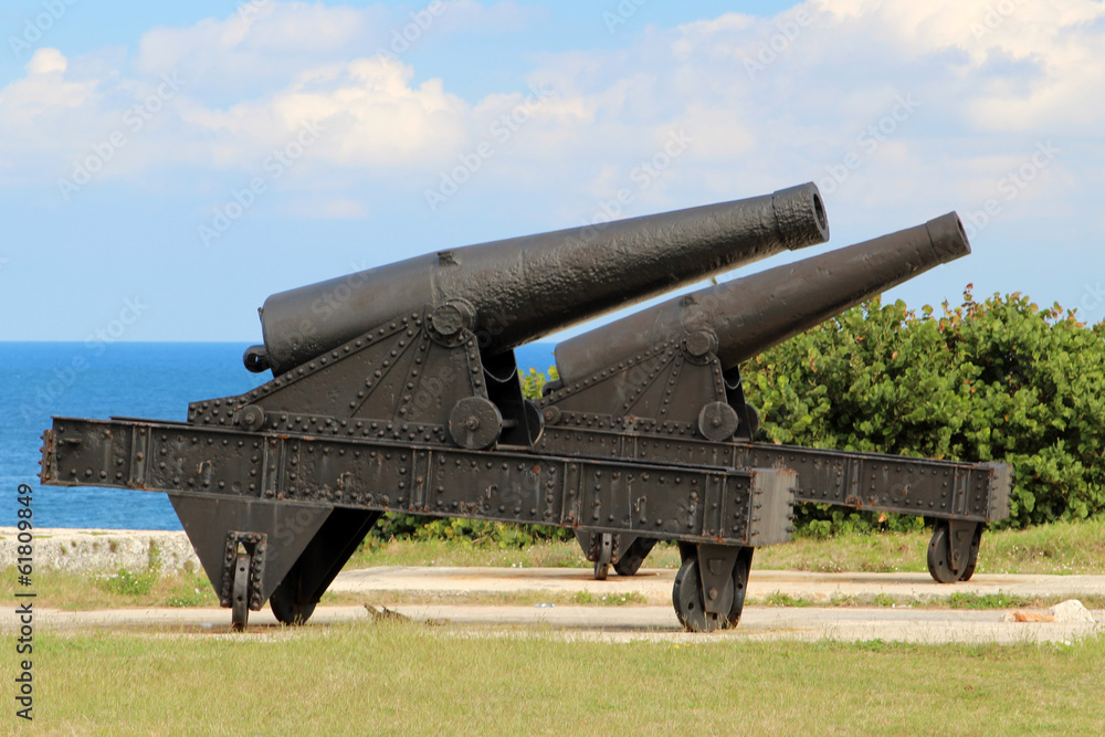 Two cannon