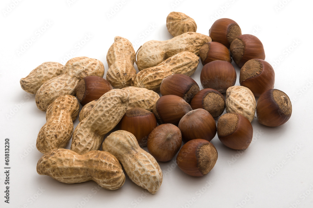 Dark and light nuts on a white background
