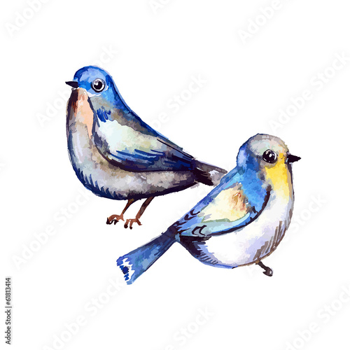 Cute birds for your design. watercolor