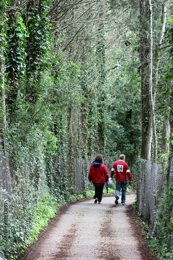 Fototapeta premium tree lined road with two walkers with red coats