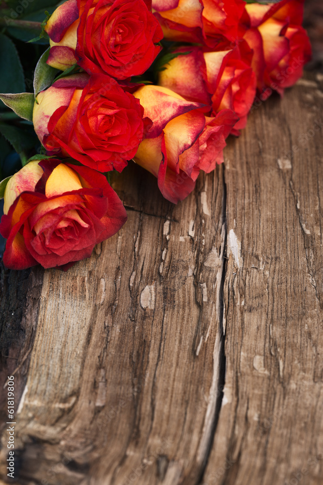 Rosen liegen auf Holz antik Liebe