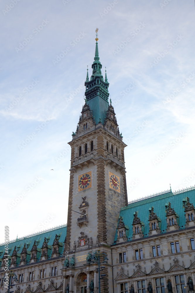Obraz premium City Hall of Hamburg, Germany