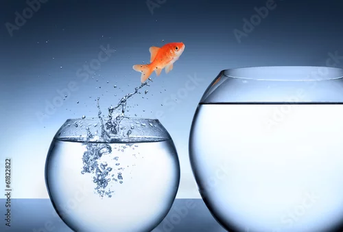 Obraz koncepcja wzrostu i poprawy