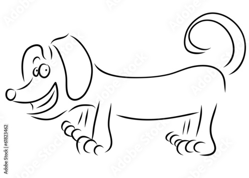 Dachshund dog