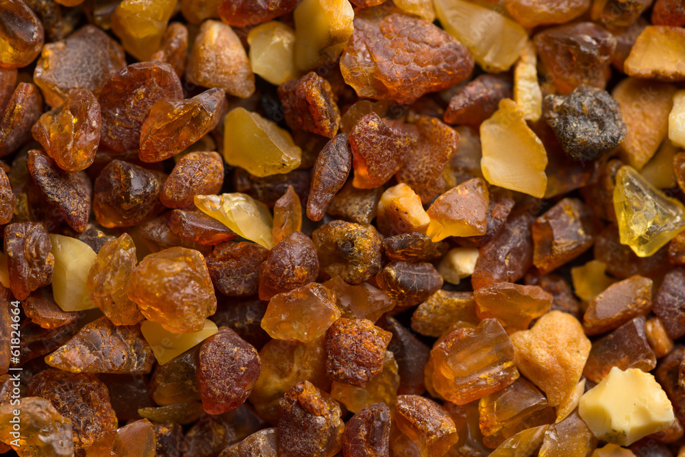 Amber stones from the beach of the Baltic Sea Amber stones from the beach of the Baltic Sea