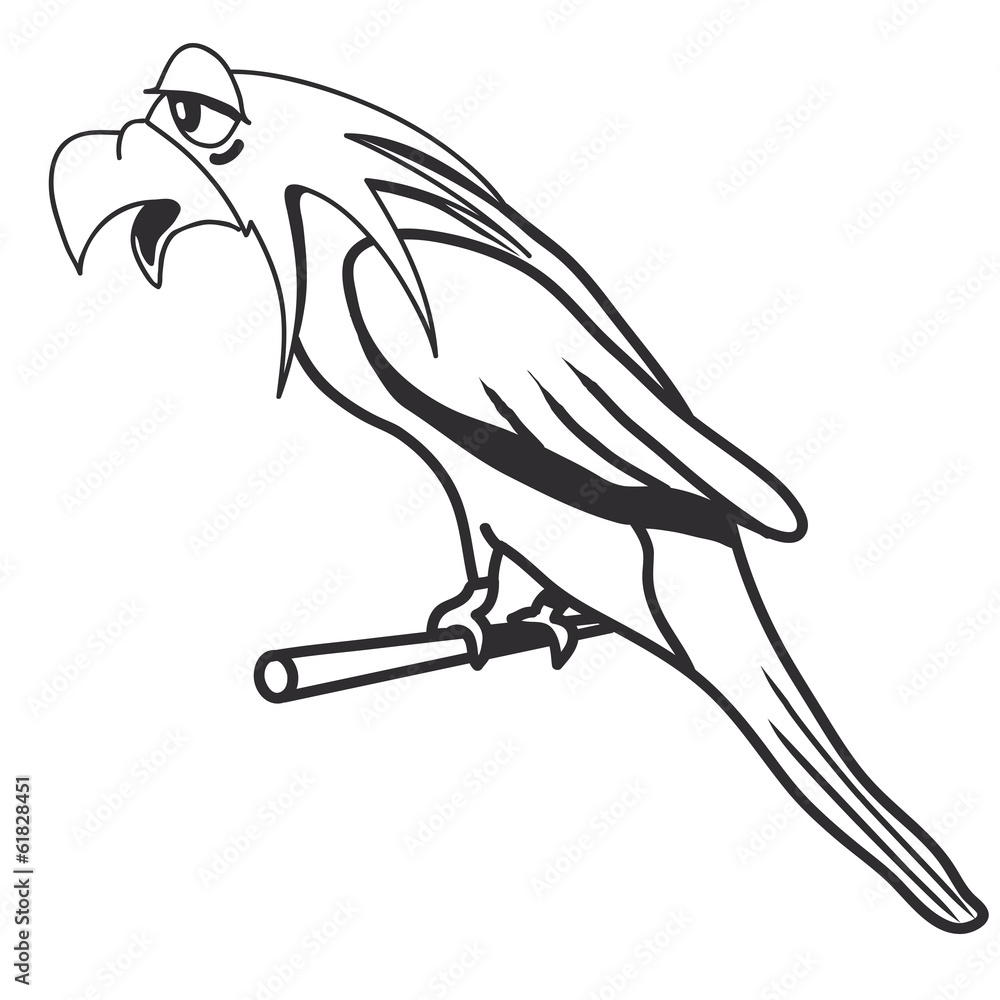 Obraz premium Vogel witzig Tier Cool Natur Comic