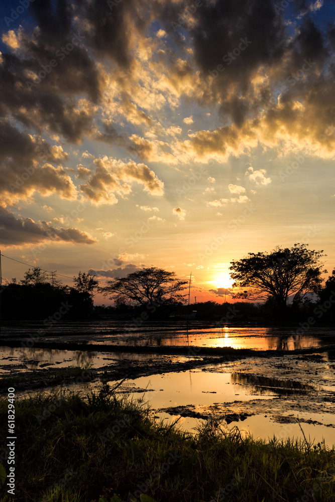 Obraz premium Sunset landscape on water field