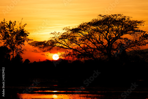 Sunset landscape on water field